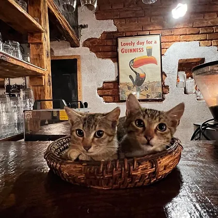 Ranch Nana's House Séjour à la ferme