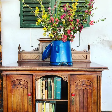 Séjour à la ferme Ranch Nana's House