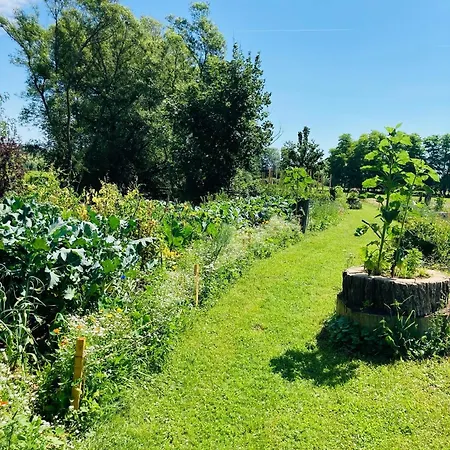 Séjour à la ferme Ranch Nana's House Slovenske Konjice