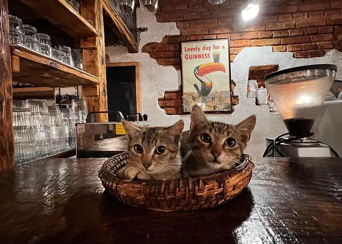 Ranch Nana's House Alojamento de Turismo Rural