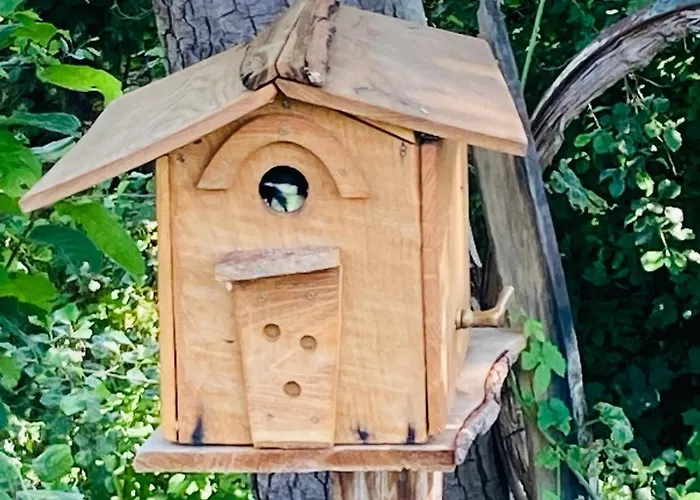 Ranch Nana's House Alojamento de Turismo Rural