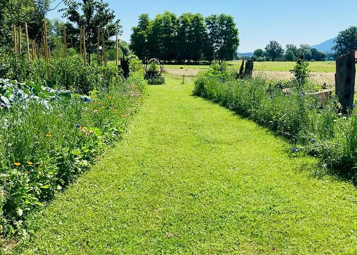 Alojamento de Turismo Rural Ranch Nana's House