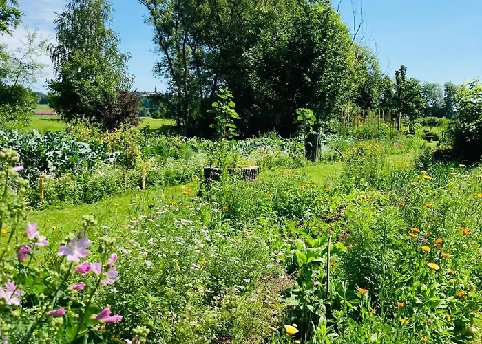 Alojamento de Turismo Rural Ranch Nana's House *