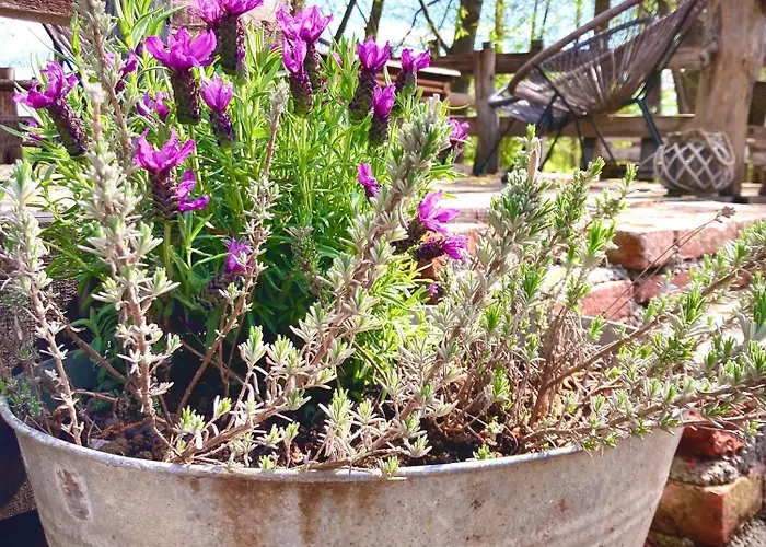 Ranch Nana's House Alojamento de Turismo Rural